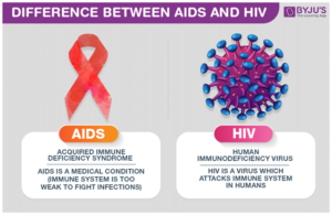 HIV AIDS Viral Load