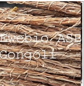 The Benefits of Gongoli