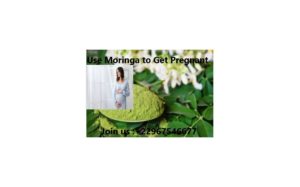 Use Moringa to Get Pregnant