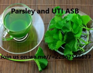 Parsley and UTI