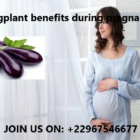 Eggplant benefits during pregnancy
