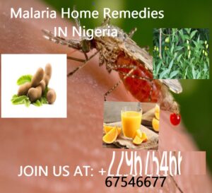 Malaria Home Remedies