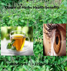 Queen of Herbs Health benefits