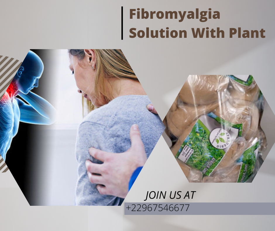 Fibromyalgia Solution With Plant