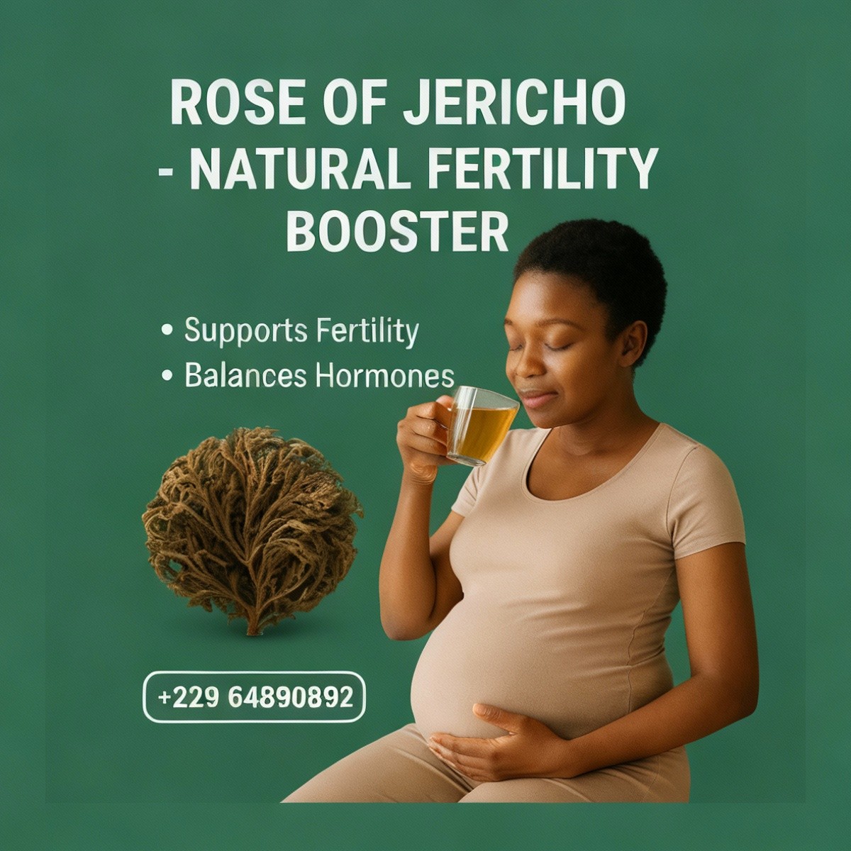 ROSE OF JERICHO FERTILITY BOOSTER